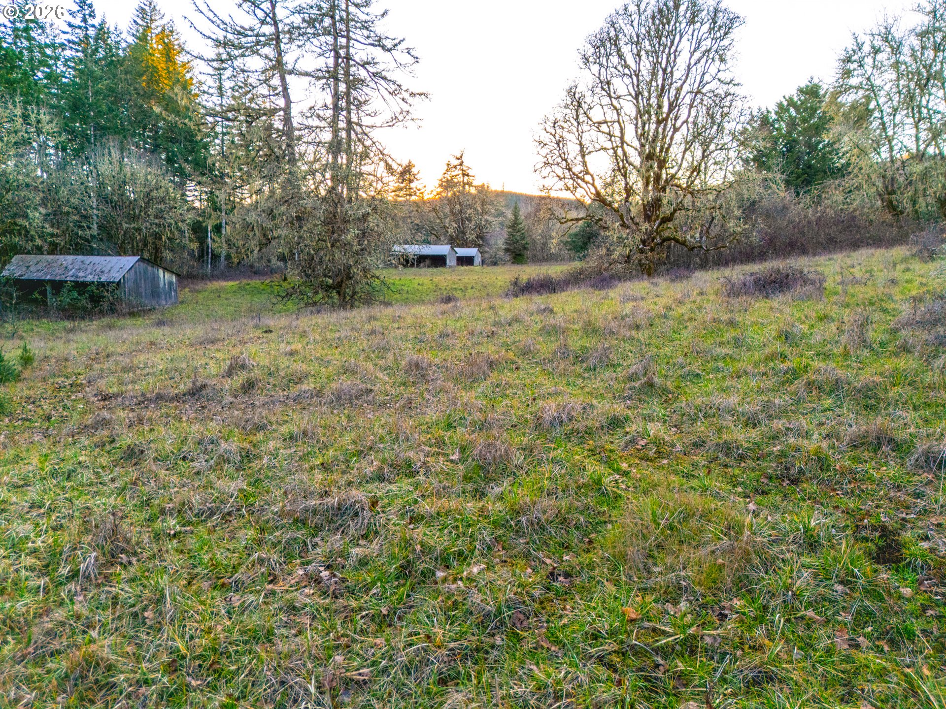 22399 Harris Road, Unit TL800 Philomath, OR 97370 - Photo 13 of 48