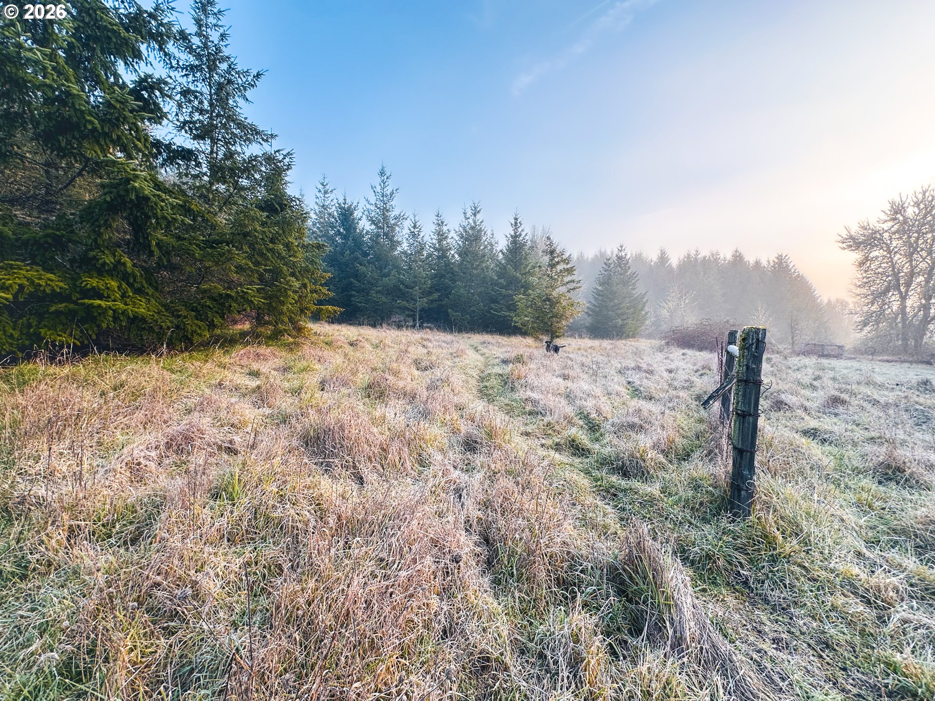 22399 Harris Road, Unit TL800 Philomath, OR 97370 - Photo 23 of 48