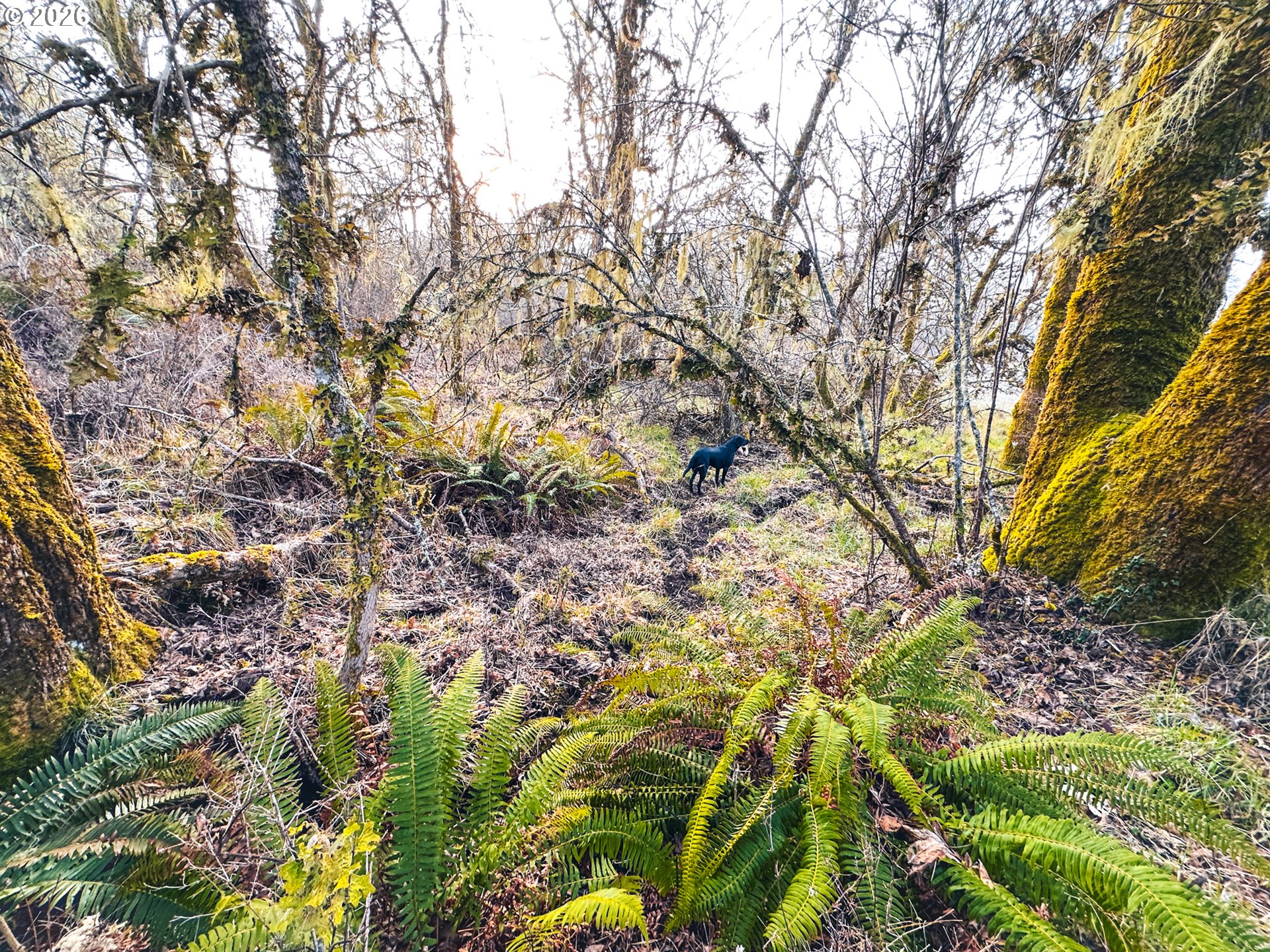 22399 Harris Road, Unit TL800 Philomath, OR 97370 - Photo 28 of 48