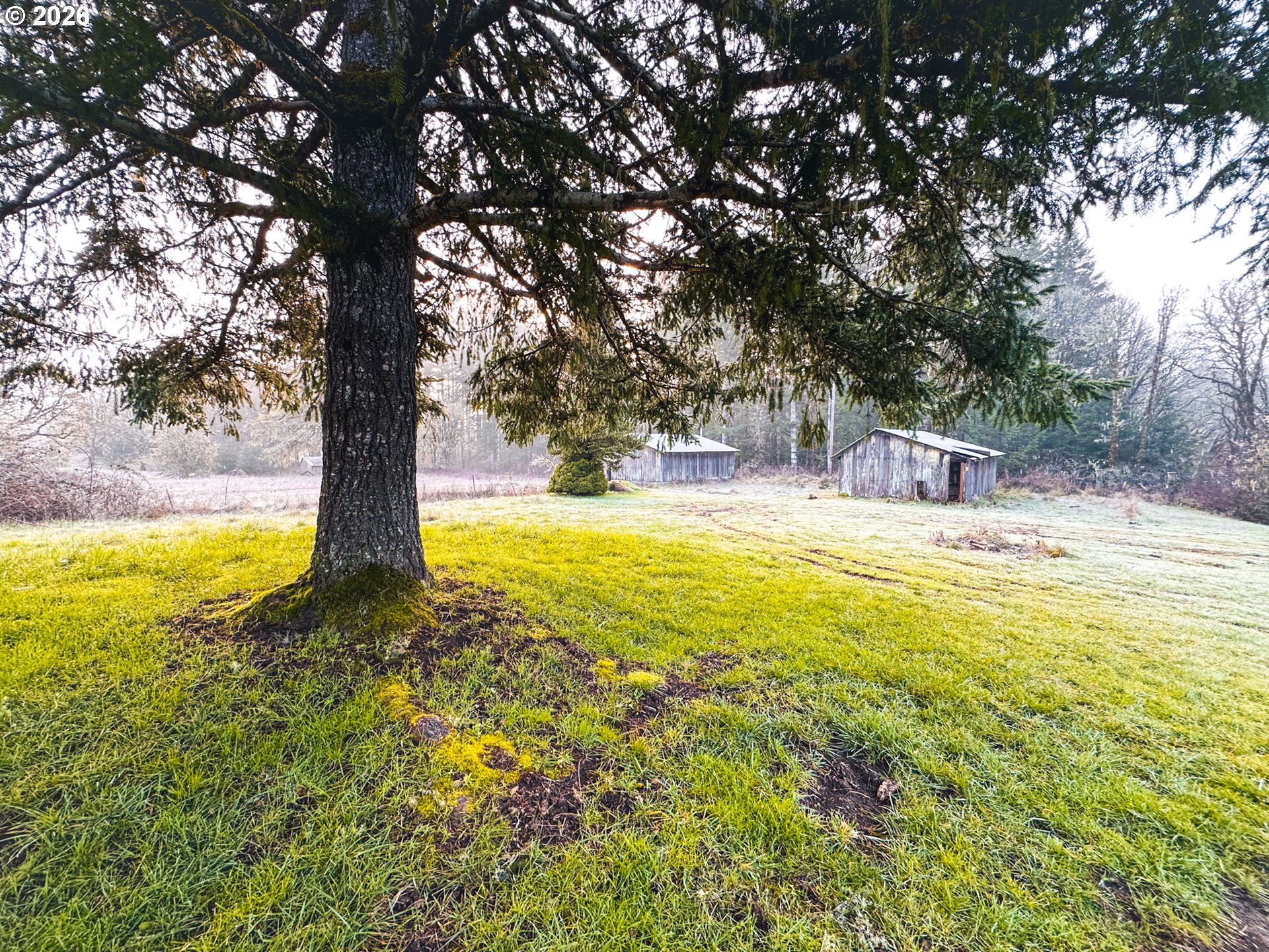 22399 Harris Road, Unit TL800 Philomath, OR 97370 - Photo 33 of 48