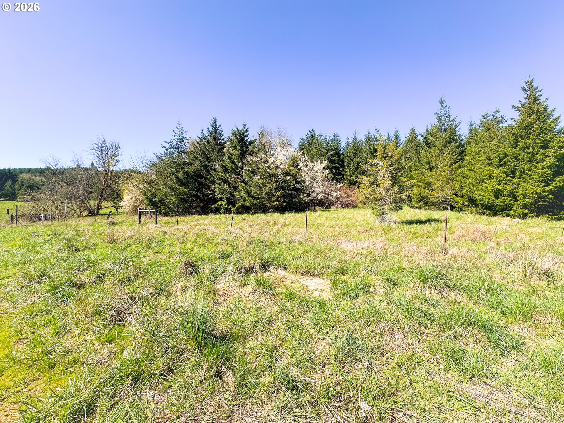 22399 Harris Road, Unit TL800 Philomath, OR 97370 - Photo 44 of 48