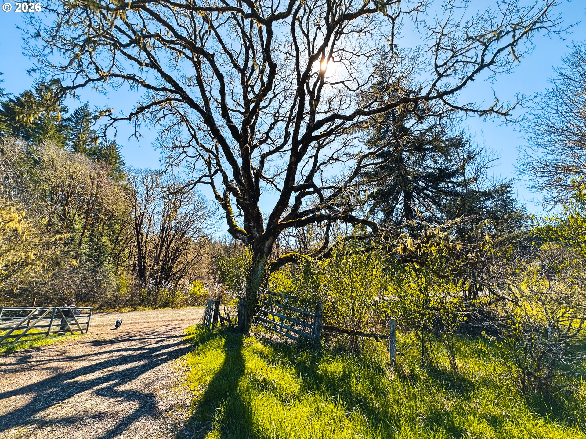 22399 Harris Road, Unit TL800 Philomath, OR 97370 - Photo 48 of 48