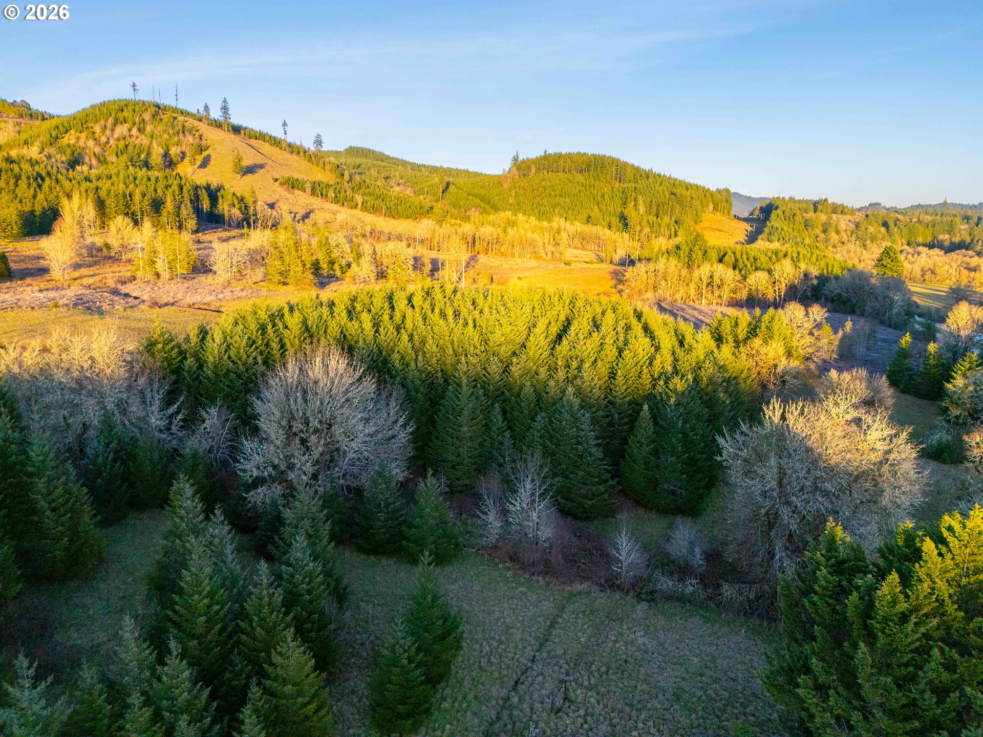 22399 Harris Road, Unit TL800 Philomath, OR 97370 - Photo 10 of 48