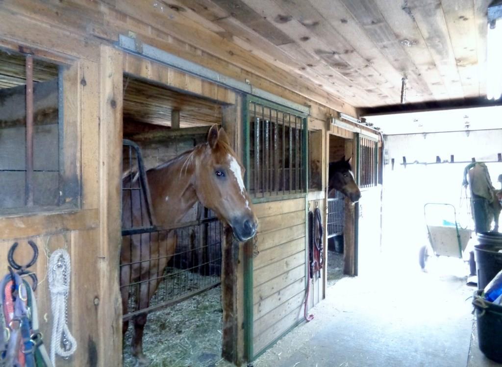 155 Horsetail Hill Road Madison, ME 04950 - Photo 21 of 34 Stalls