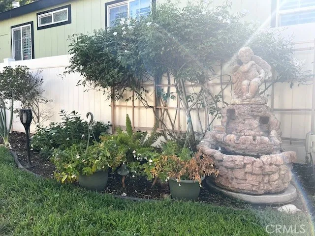a view of a yard with plants and large trees