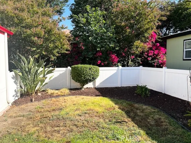 a view of backyard with potted plants