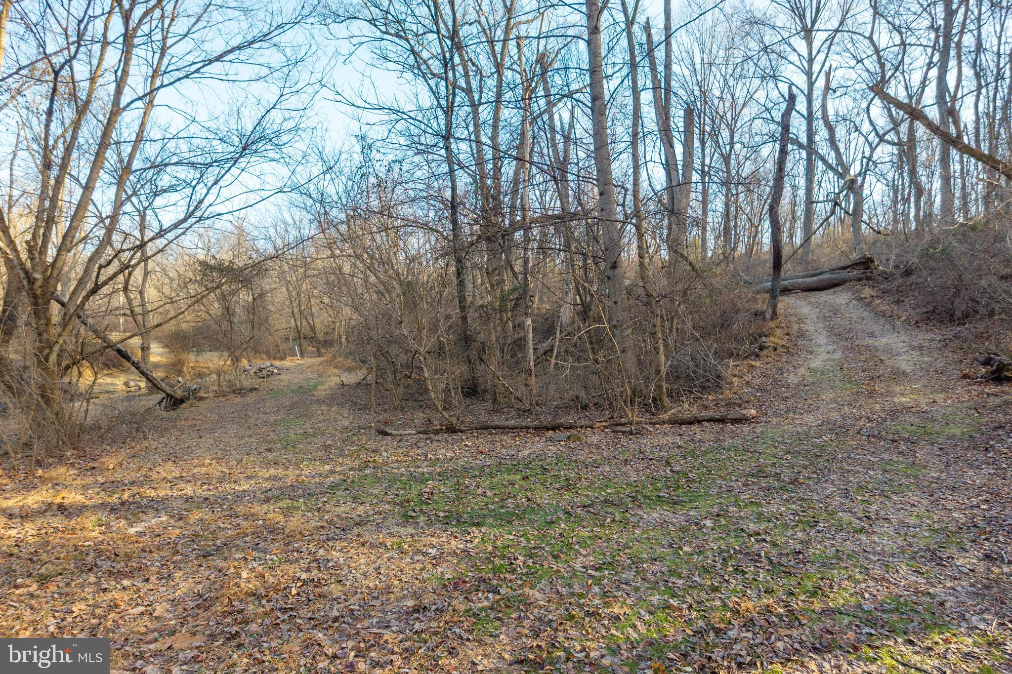 0 Sanatoga Road Pottstown, PA 19464 - Photo 11 of 24 Serene woodland paths beckon exploration.