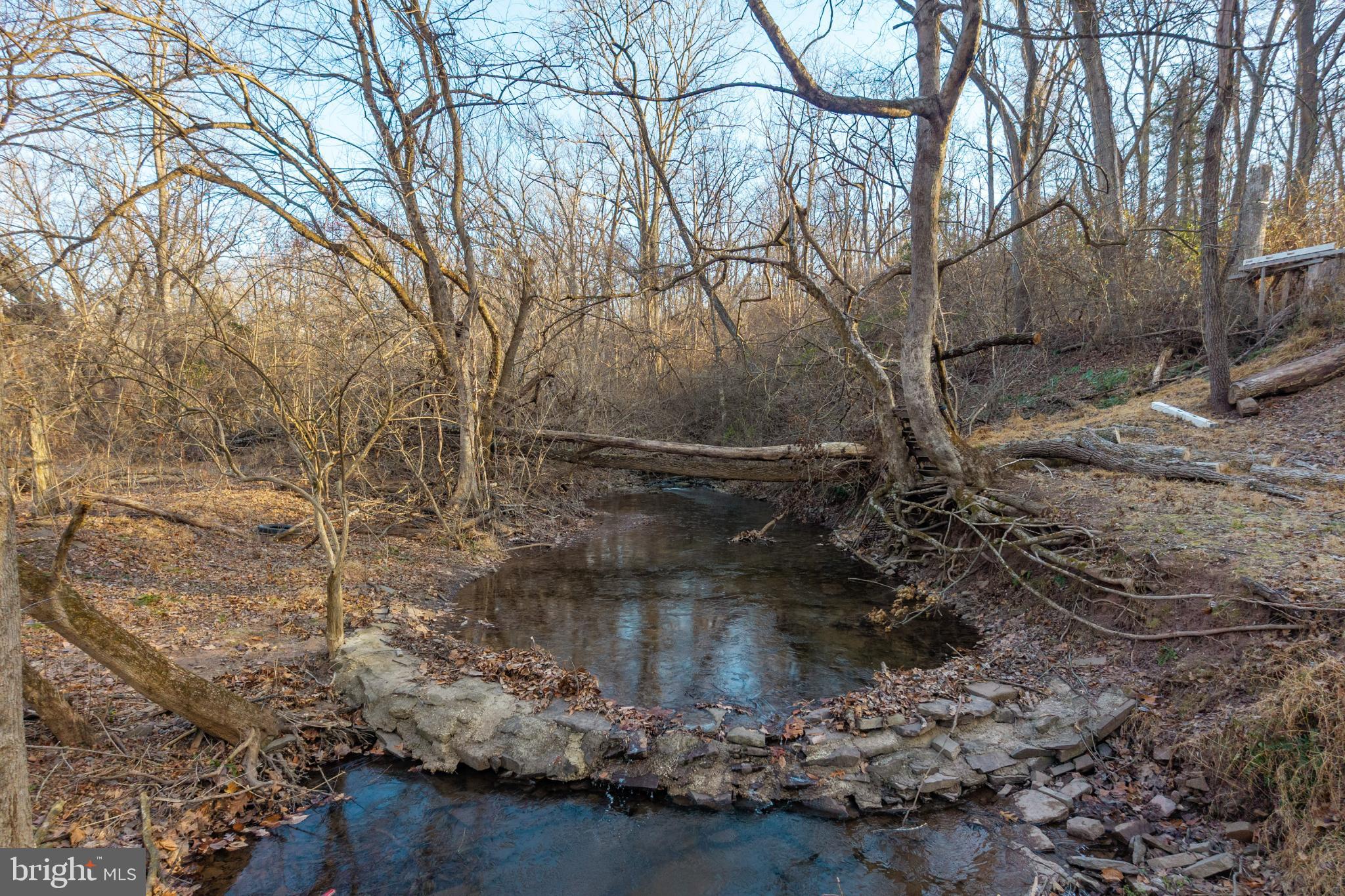 0 Sanatoga Road Pottstown, PA 19464 - Photo 14 of 24 Serene stream framed by winter trees.