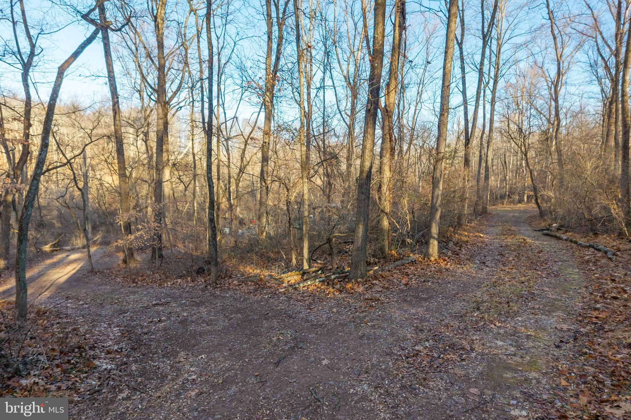 0 Sanatoga Road Pottstown, PA 19464 - Photo 17 of 24 Nature's crossroads: paths await exploration.