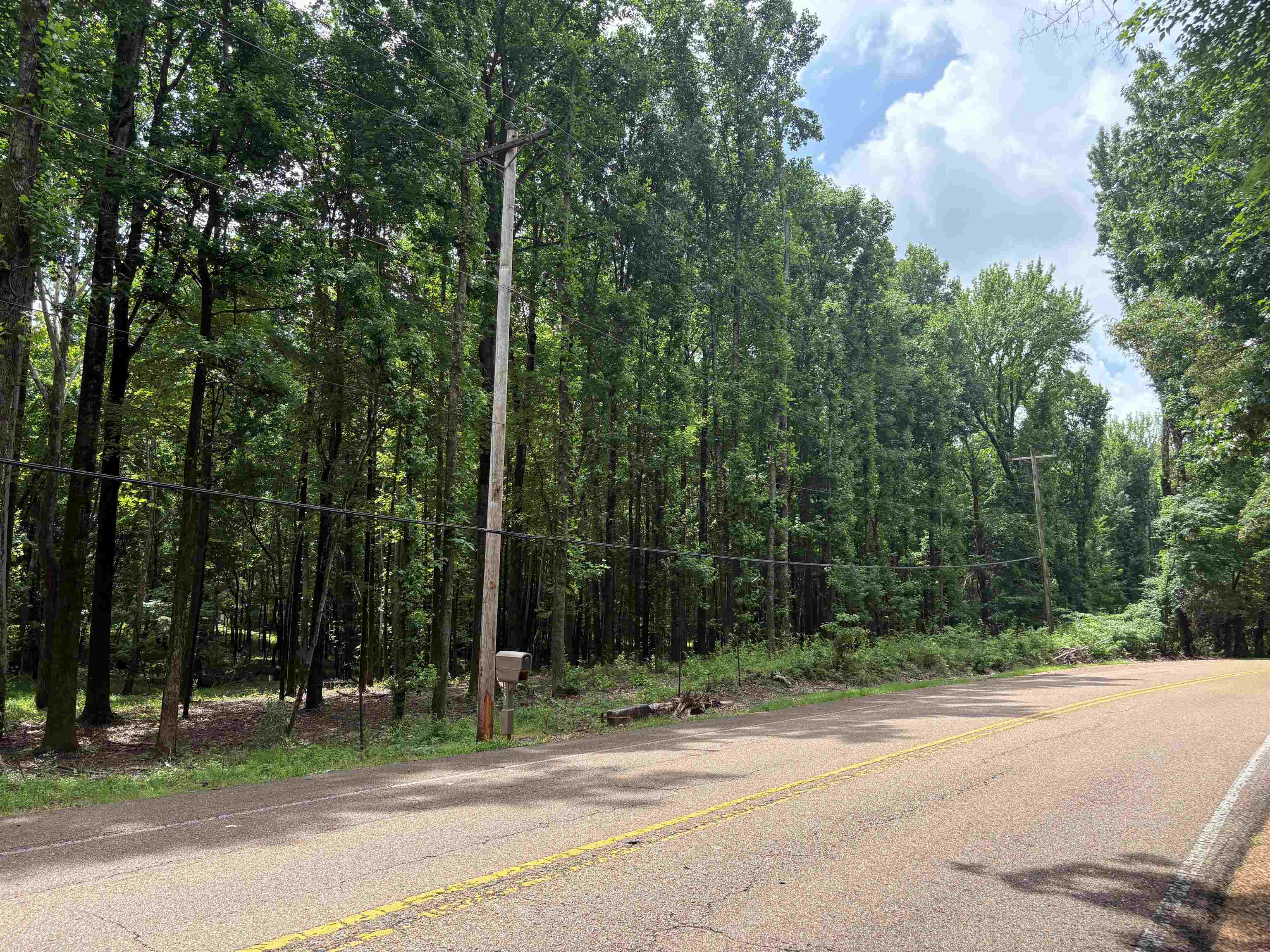 0 Billy Maher Road Bartlett, TN 38135 - Photo 6 of 19