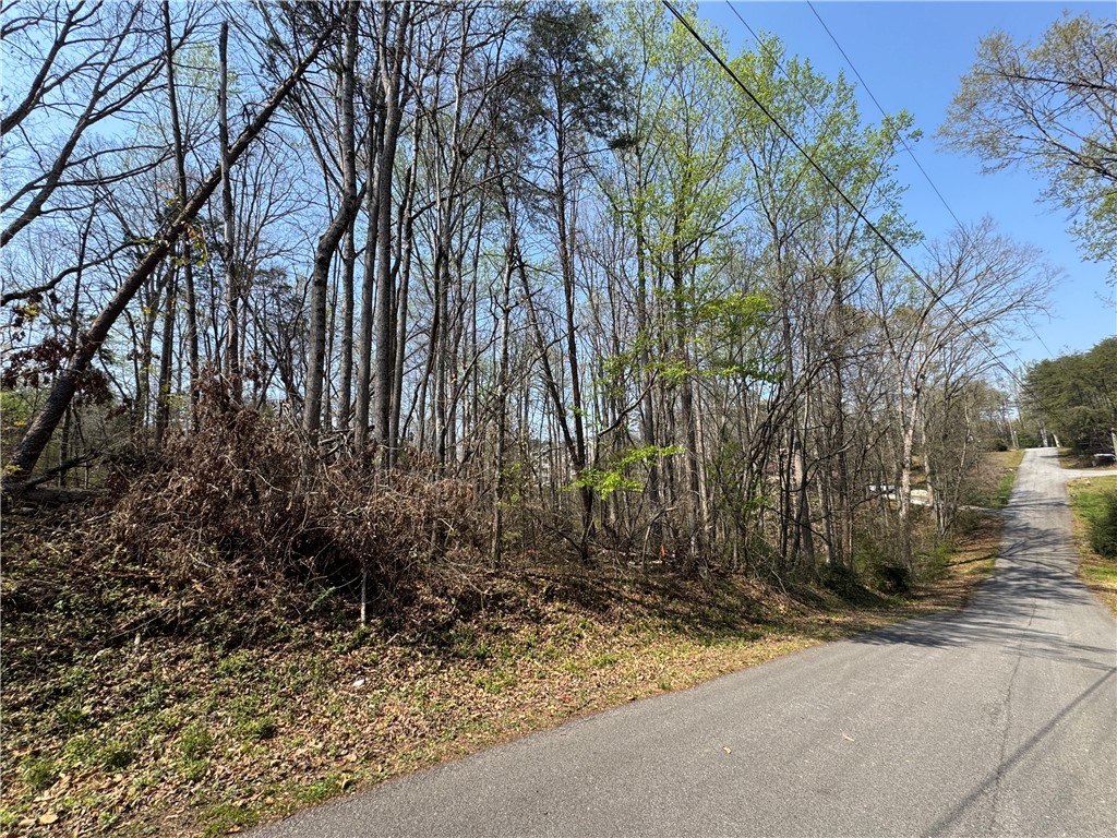 163 Tabor Street Central, SC 29630 - Photo 3 of 7 A tranquil road winds alongside a lush, tree-filled landscape under a clear sky.