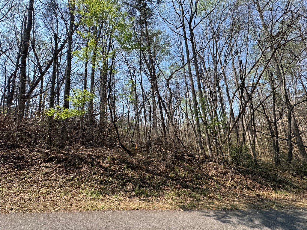 163 Tabor Street Central, SC 29630 - Photo 4 of 7 Mature trees frame a gently sloping lot, offering a private, wooded setting.
