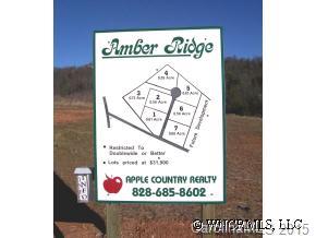 0 Amber Ridge Lane, Unit 1 Hendersonville, NC 28792 - Photo 4 of 4 Gallery Image 4
