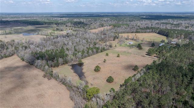 438 Billy Young Road Sugartown, LA 70662 - Photo 15 of 23