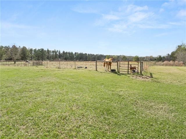 438 Billy Young Road Sugartown, LA 70662 - Photo 19 of 23