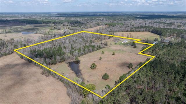 438 Billy Young Road Sugartown, LA 70662 - Photo 23 of 23