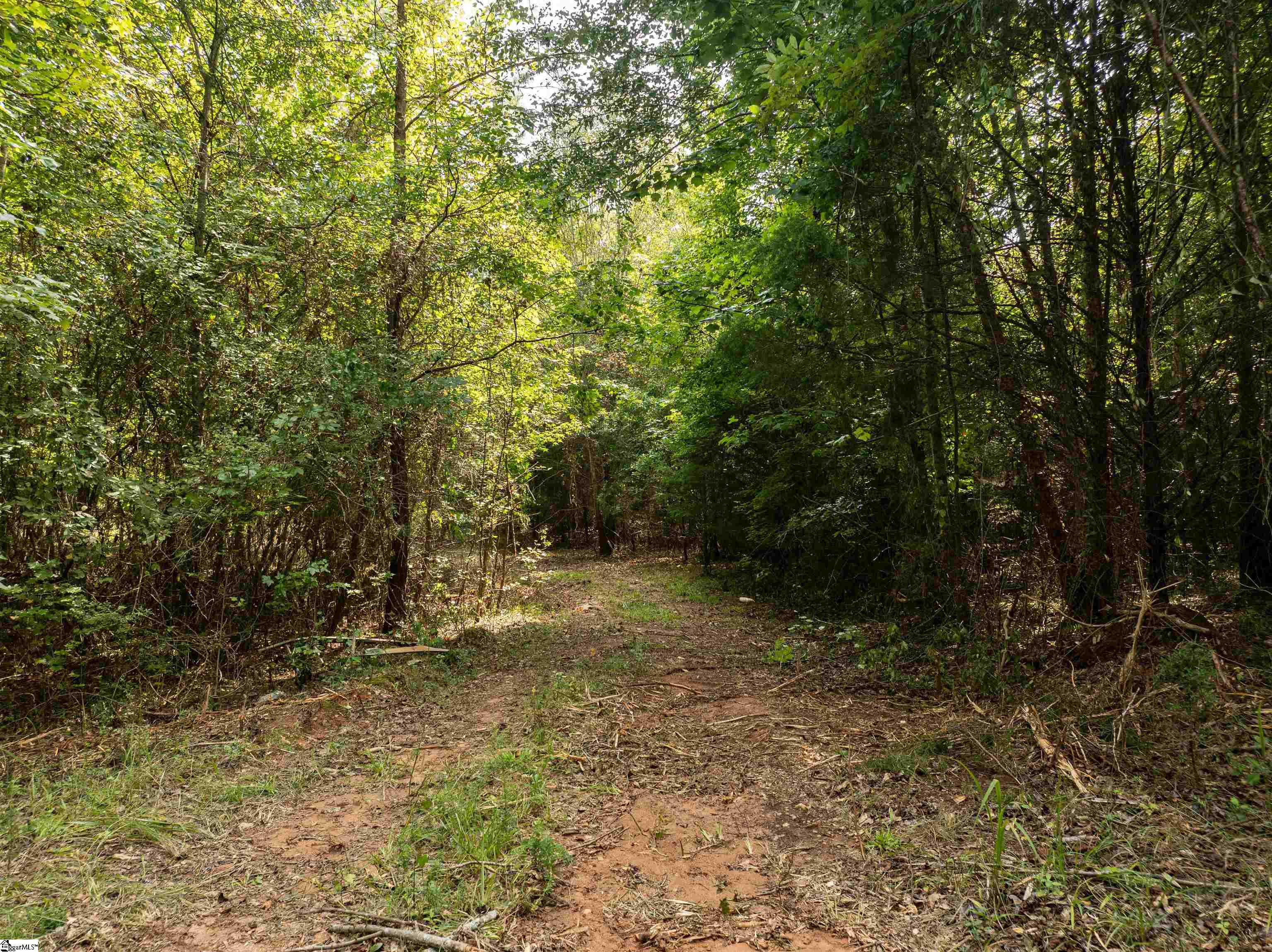 0 Wright School Road Anderson, SC 29621 - Photo 13 of 19