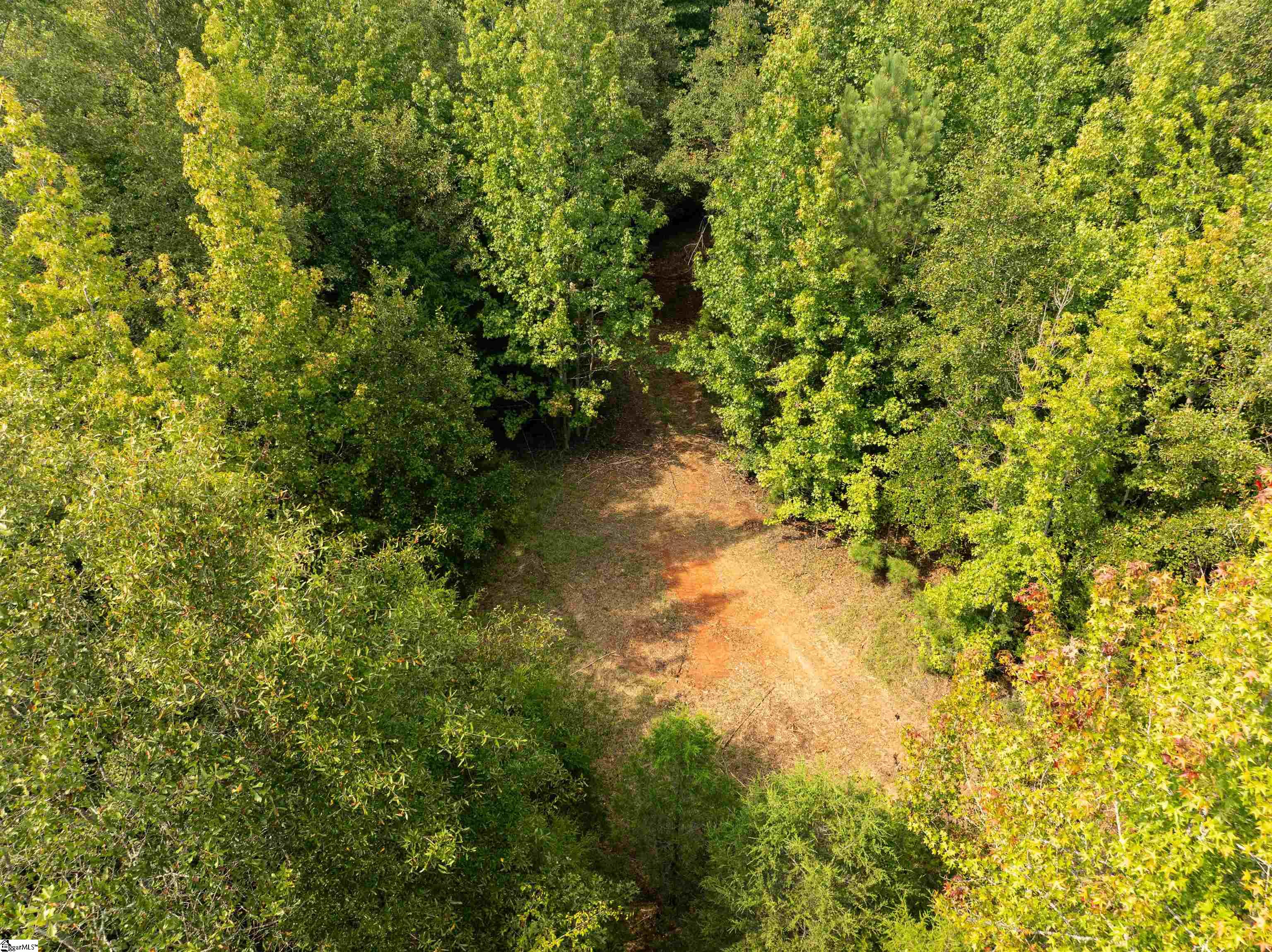 0 Wright School Road Anderson, SC 29621 - Photo 14 of 19