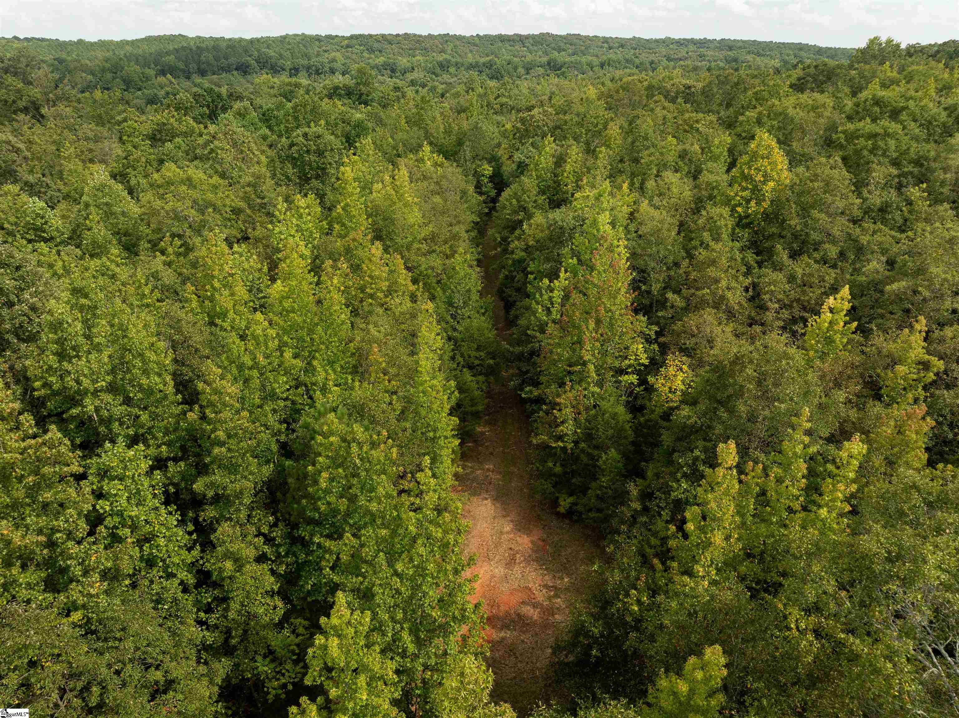 0 Wright School Road Anderson, SC 29621 - Photo 15 of 19