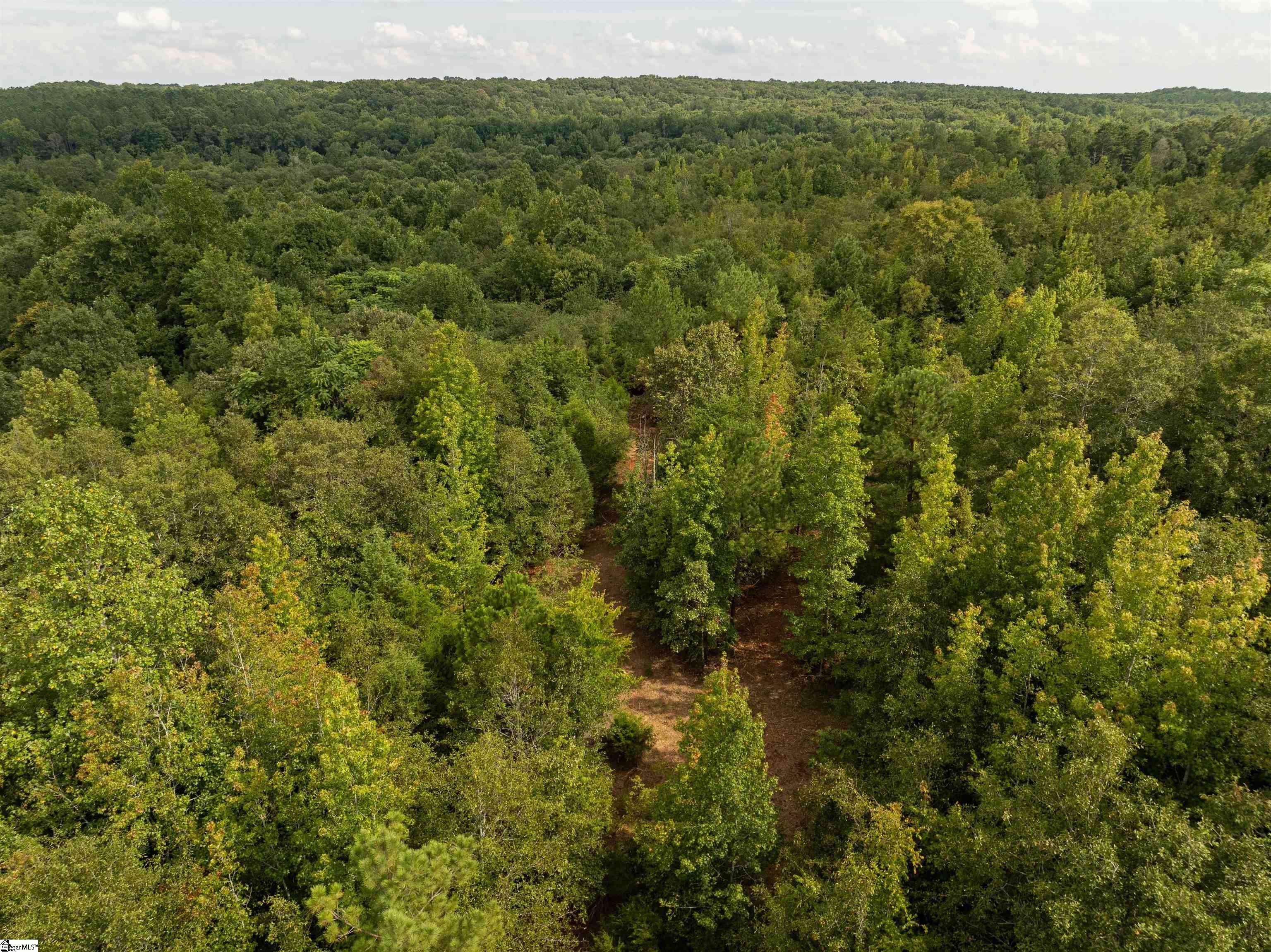 0 Wright School Road Anderson, SC 29621 - Photo 16 of 19
