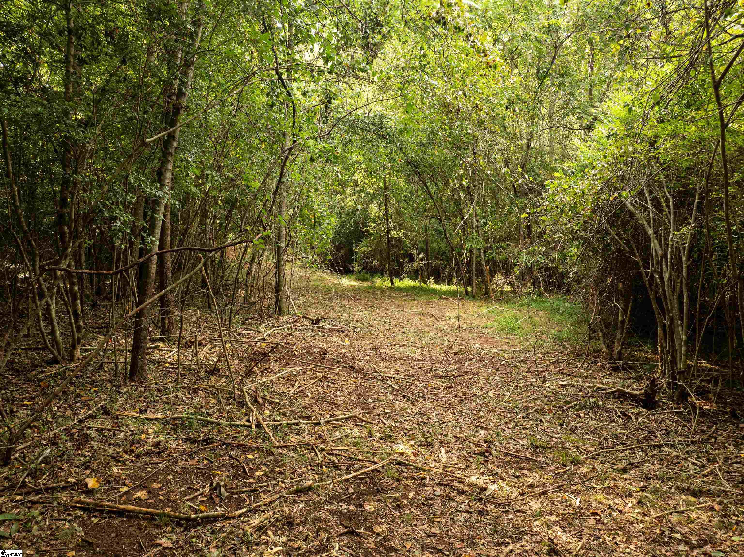 0 Wright School Road Anderson, SC 29621 - Photo 17 of 19