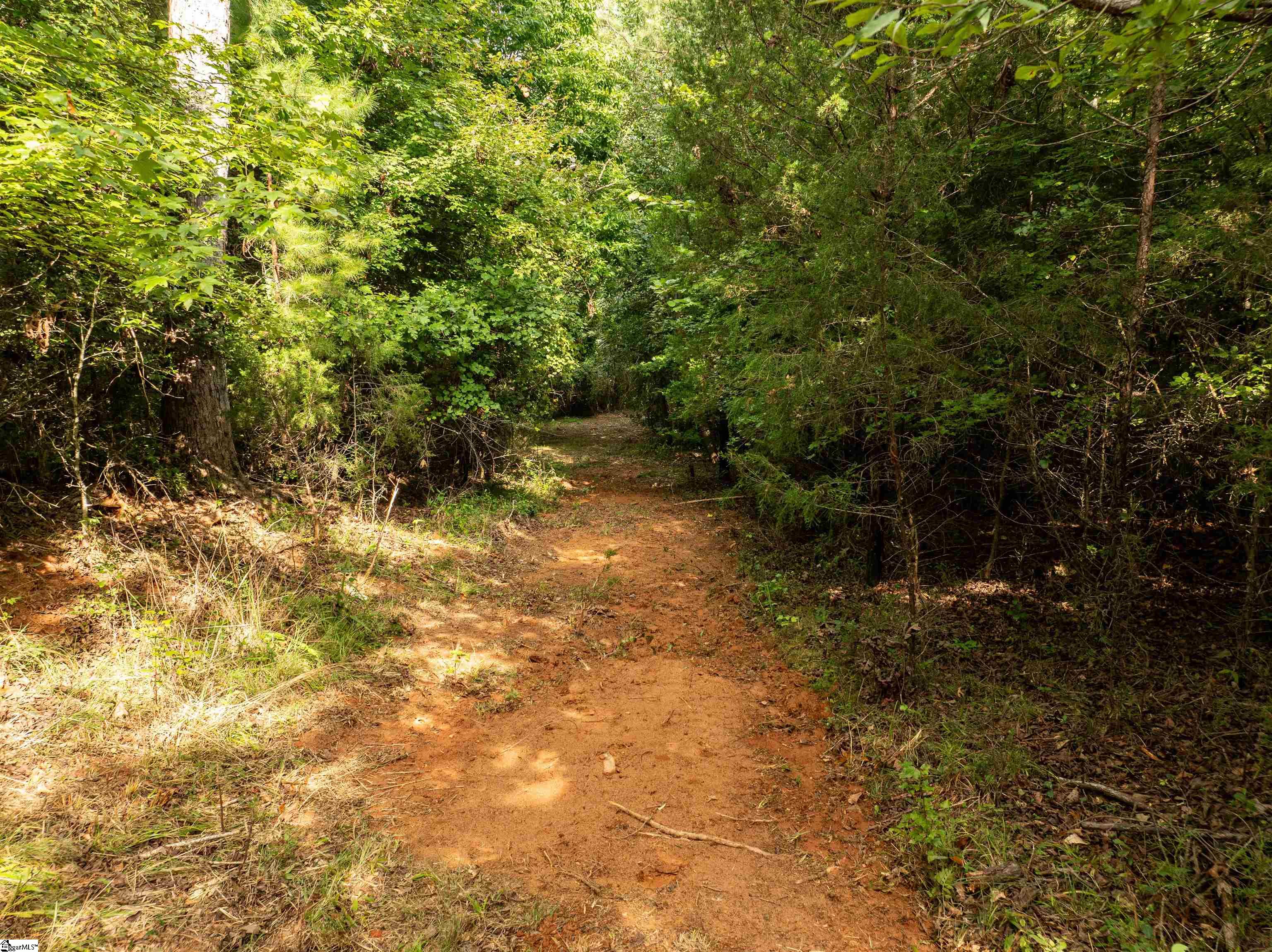 0 Wright School Road Anderson, SC 29621 - Photo 19 of 19