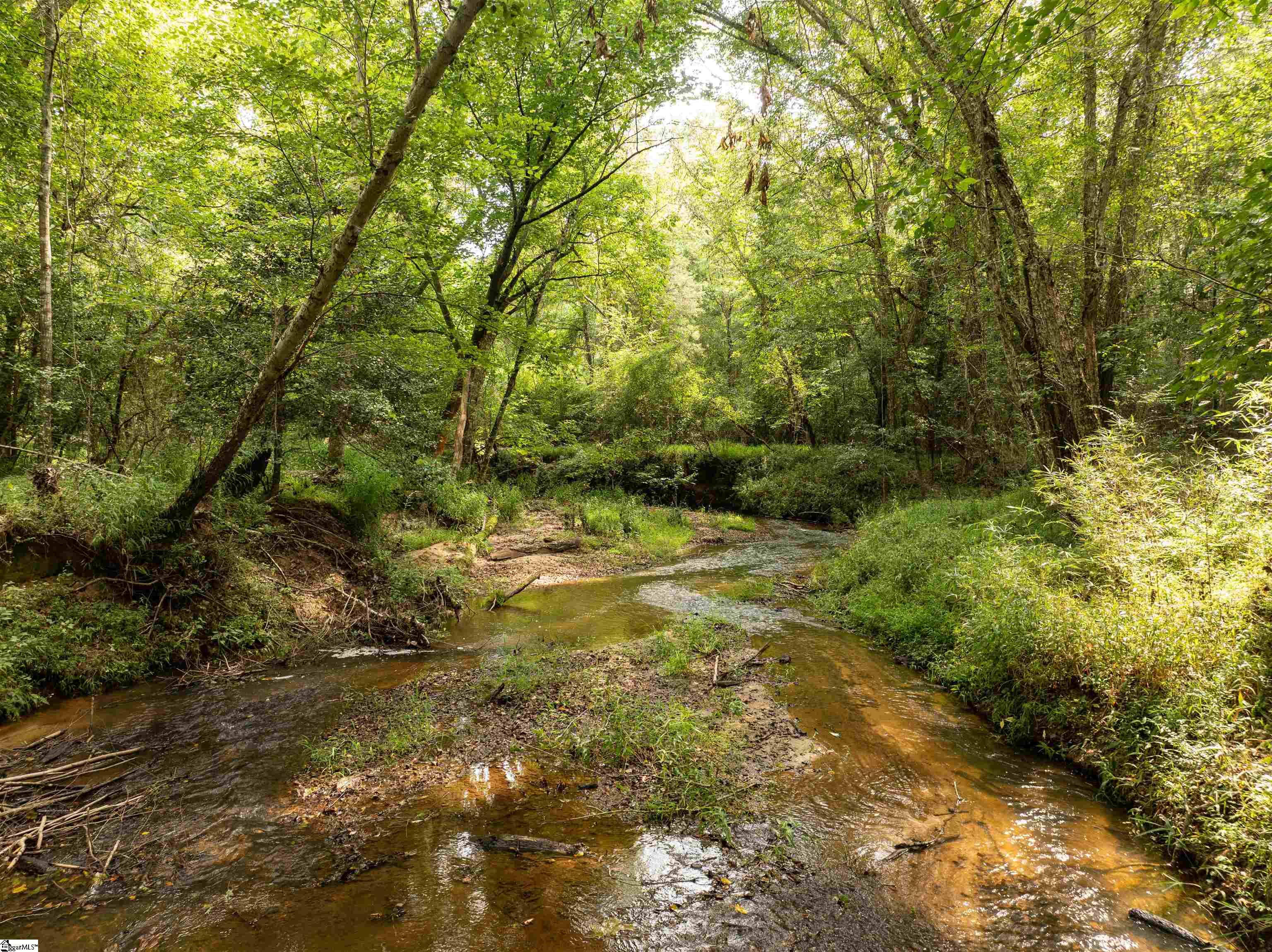 0 Wright School Road Anderson, SC 29621 - Photo 3 of 19