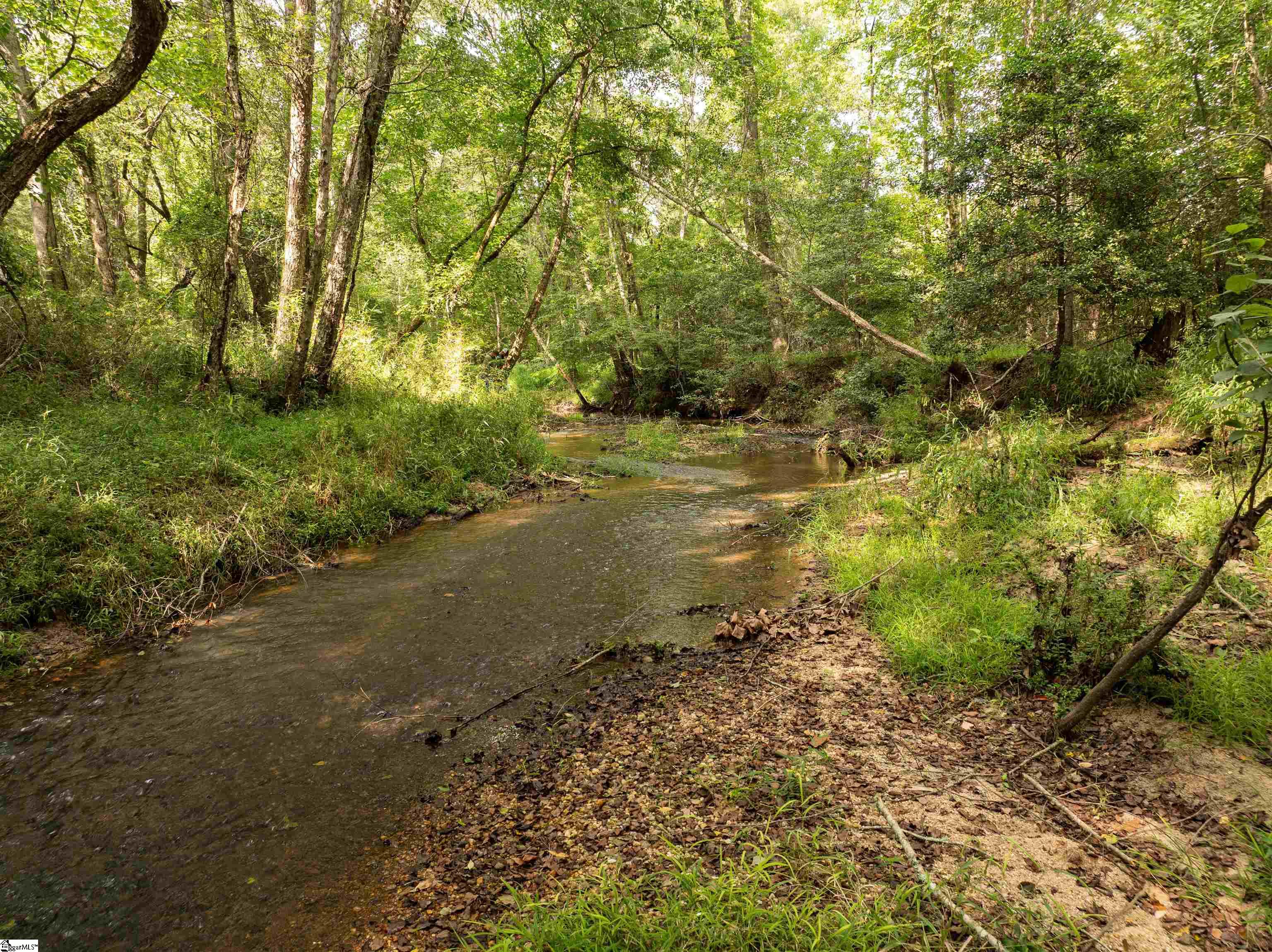 0 Wright School Road Anderson, SC 29621 - Photo 5 of 19