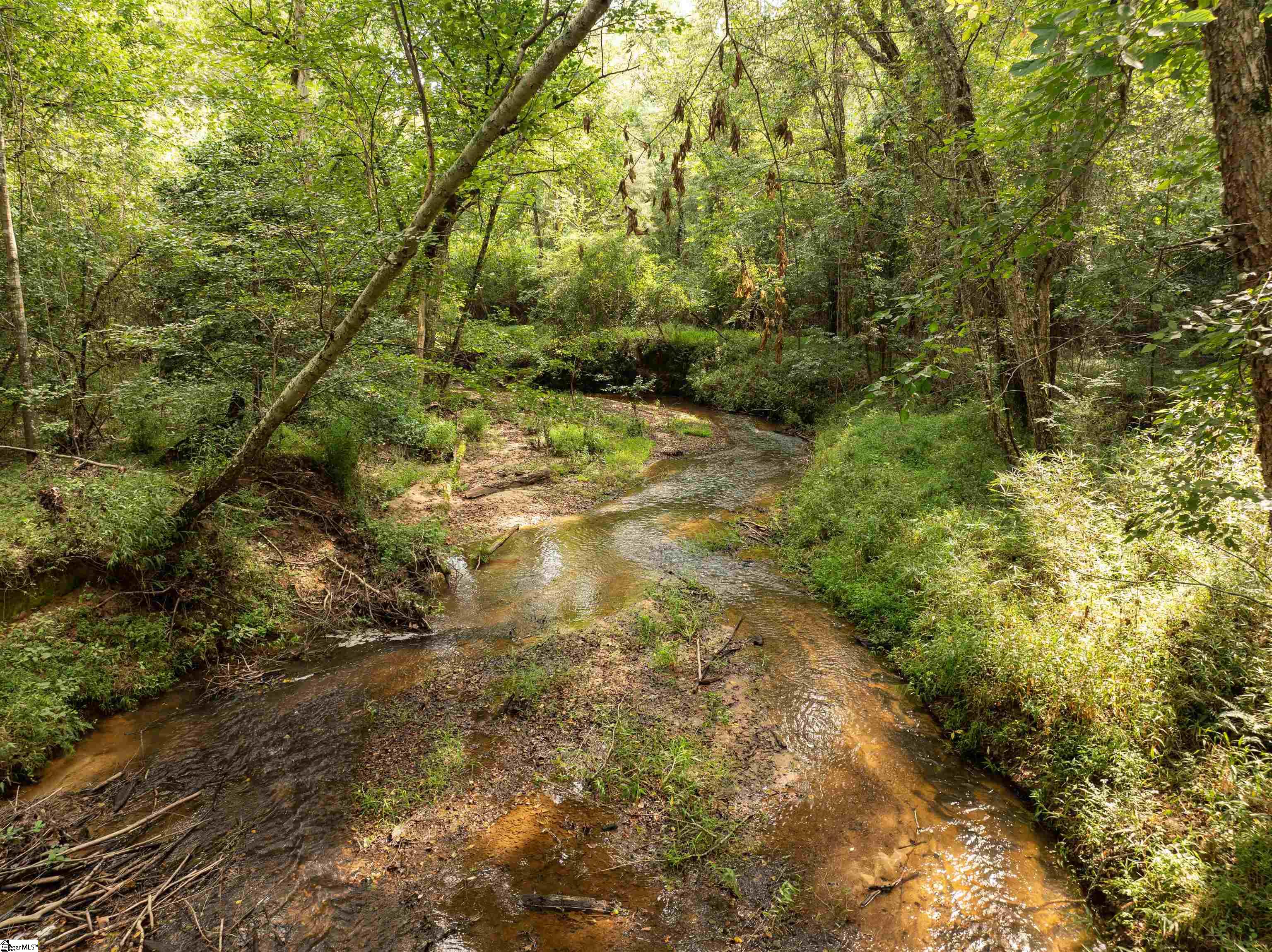 0 Wright School Road Anderson, SC 29621 - Photo 7 of 19