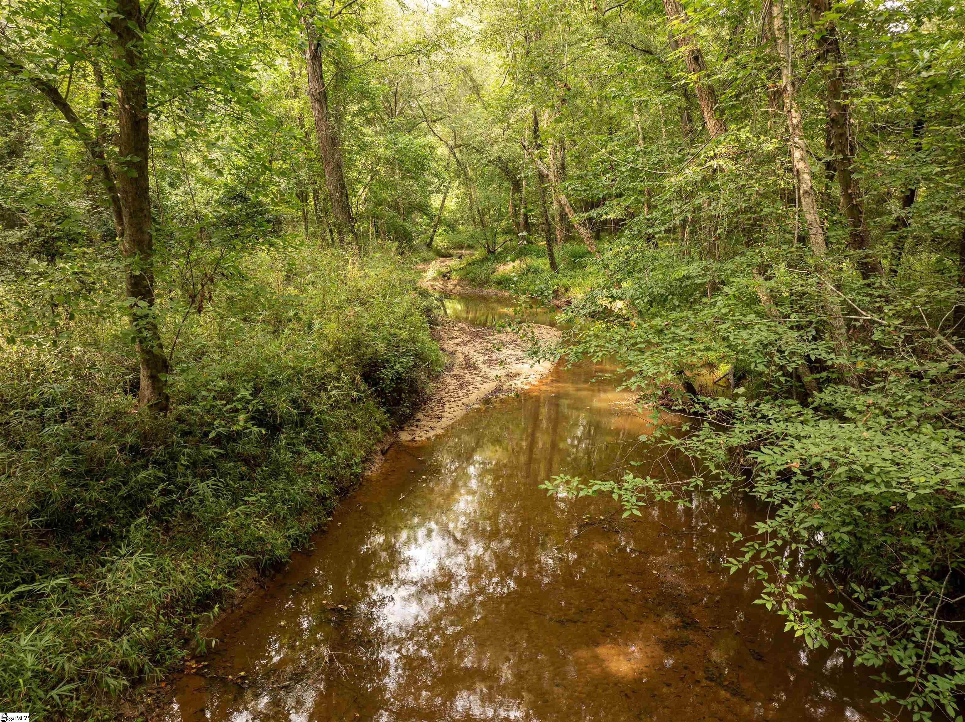 0 Wright School Road Anderson, SC 29621 - Photo 9 of 19