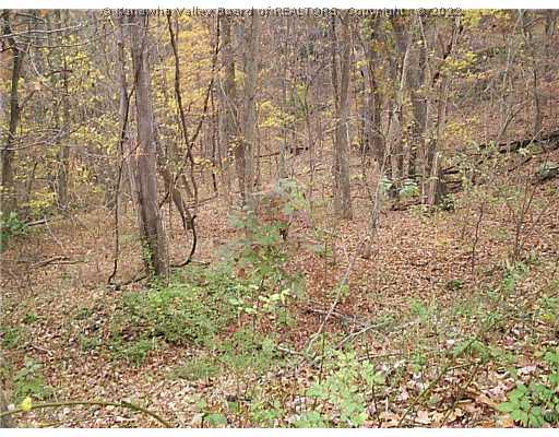 0 Dry Ridge Road St. Albans, WV 25177 - Photo 2 of 5 Land/Lot.
