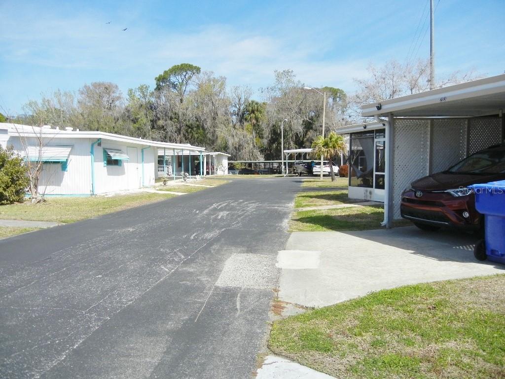 205 Rue De Pont Tavares, FL 32778 - Photo 22 of 27
