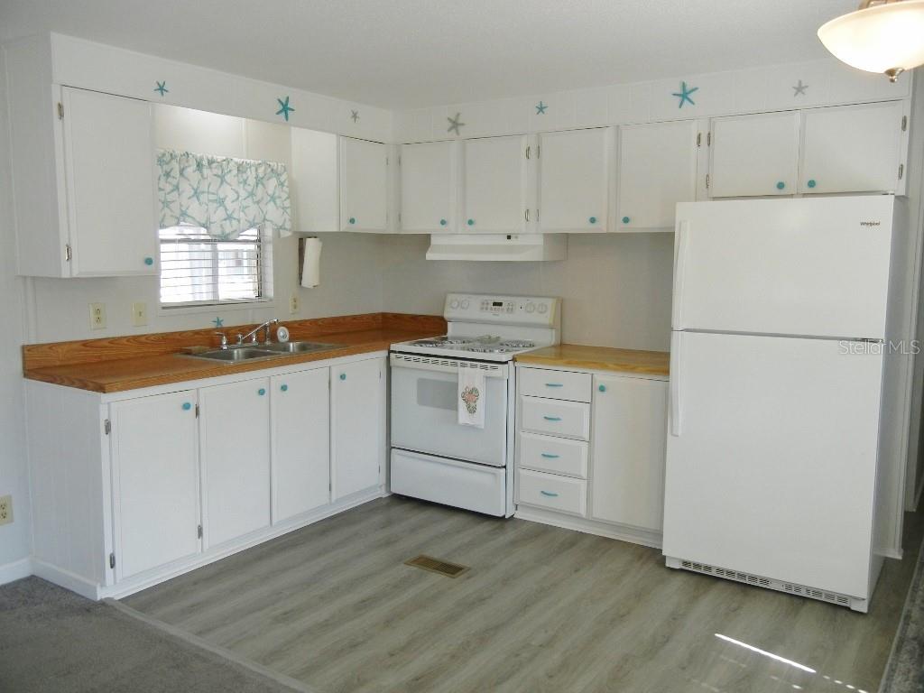 205 Rue De Pont Tavares, FL 32778 - Photo 8 of 27