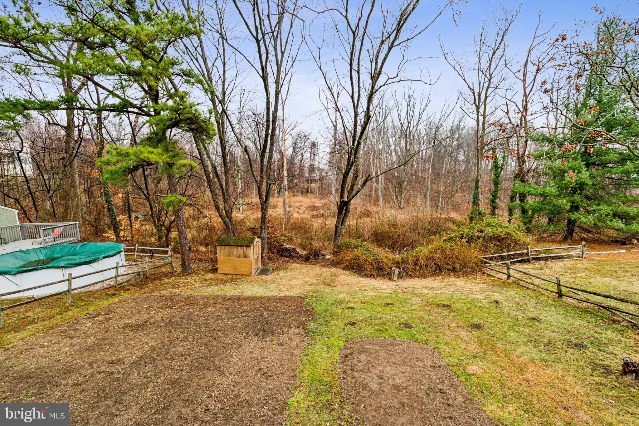 3308 Upton Road Baltimore, MD 21234 - Photo 40 of 44 a view of yard with tree