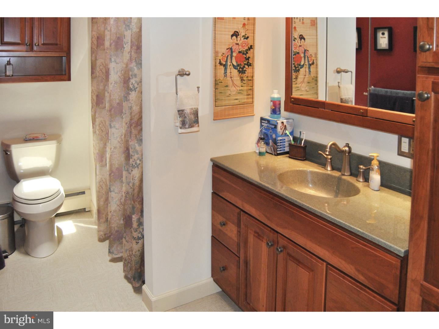703 Mt Pleasant Road Pottstown, PA 19465 - Photo 17 of 25 Bathroom