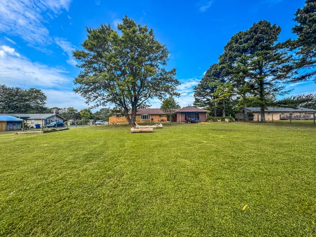 a view of a park with large trees