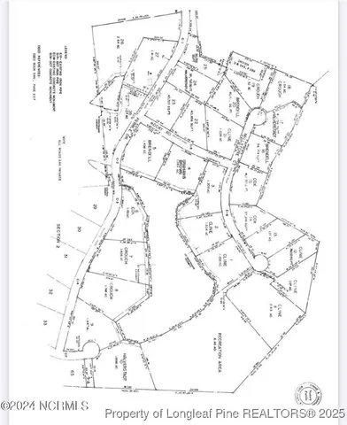 a black and white photo of a painting