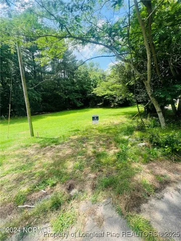 a view of a field with a tree