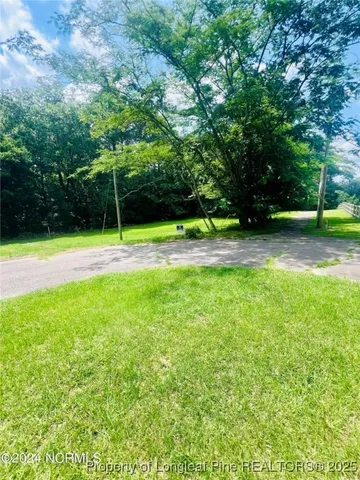 a view of a backyard with green space