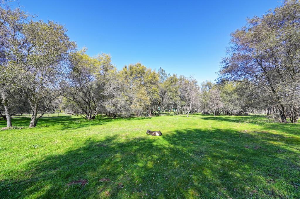 5508 High Sierra Road Pilot Hill, CA 95664 - Photo 64 of 86 Gallery Image 64
