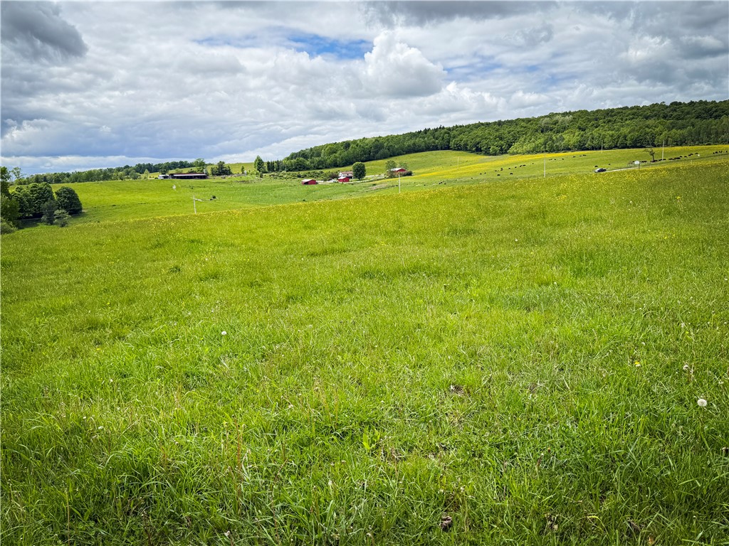 4 Putt Hill Road Chemung, NY 14825 - Photo 21 of 34 Gallery Image 21