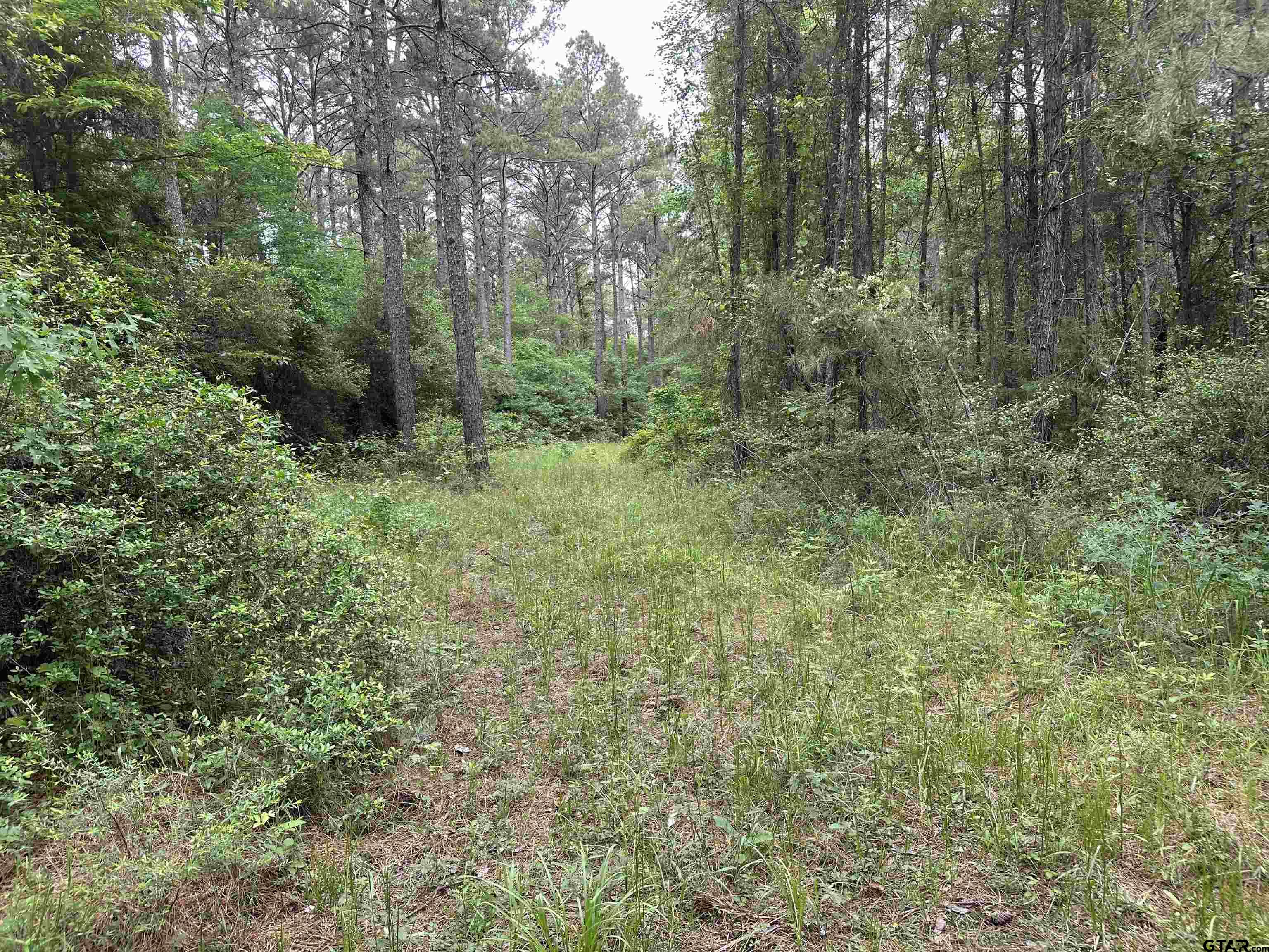 Tbd Sand Road Lufkin, TX 75904 - Photo 9 of 27