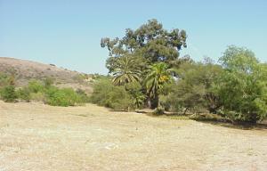 1020 San Roque Road Santa Barbara, CA 93105 - Photo 1 of 3 Listing Photo