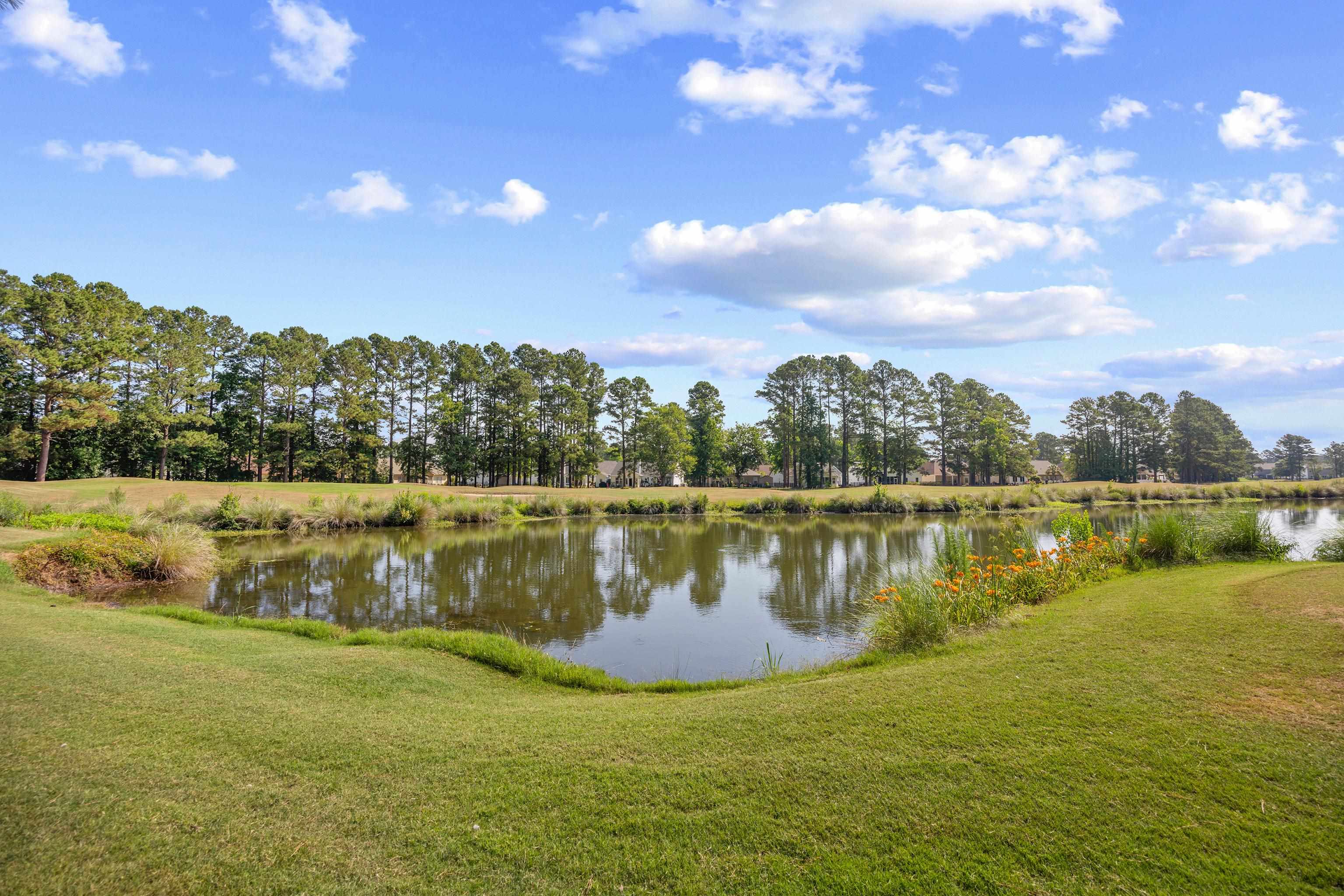 246 Sun Colony Boulevard, Unit 203B Longs, SC 29568 - Photo 31 of 32