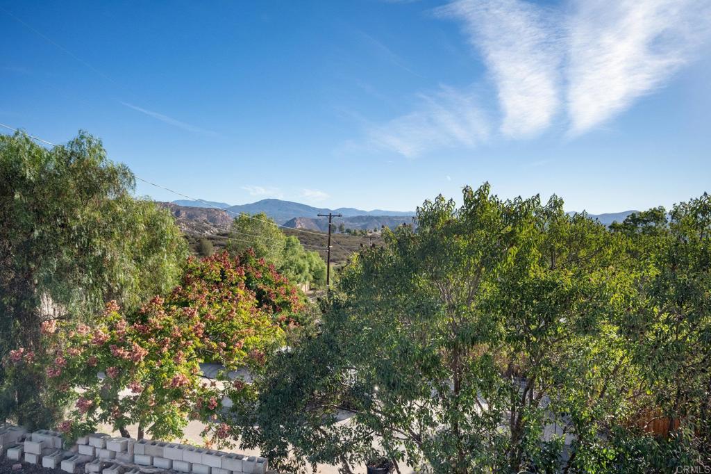 222 Sage Road El Cajon, CA 92021 - Photo 1 of 1 a view of a city with lush green forest