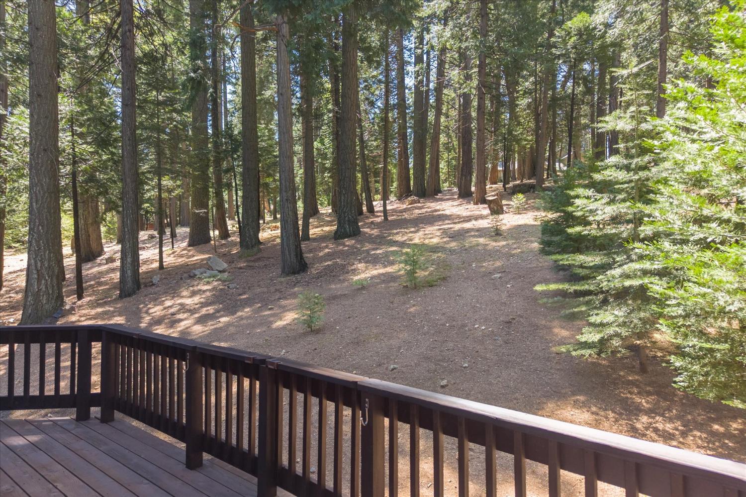 2203 Karock Road Dorrington, CA 95223 - Photo 42 of 54