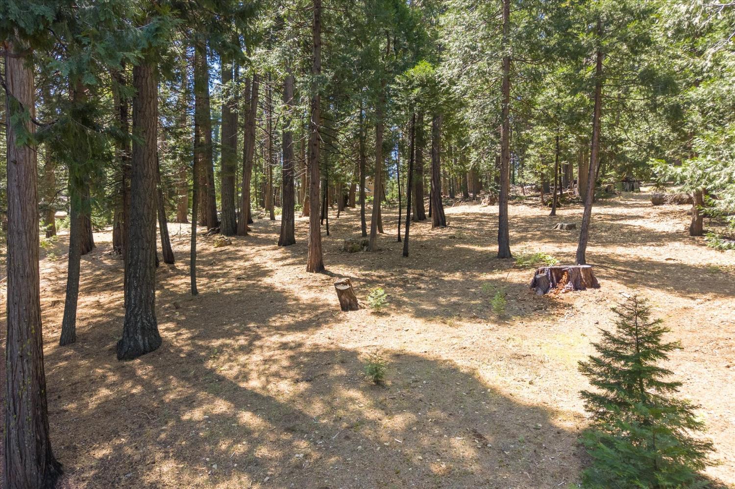 2203 Karock Road Dorrington, CA 95223 - Photo 43 of 54
