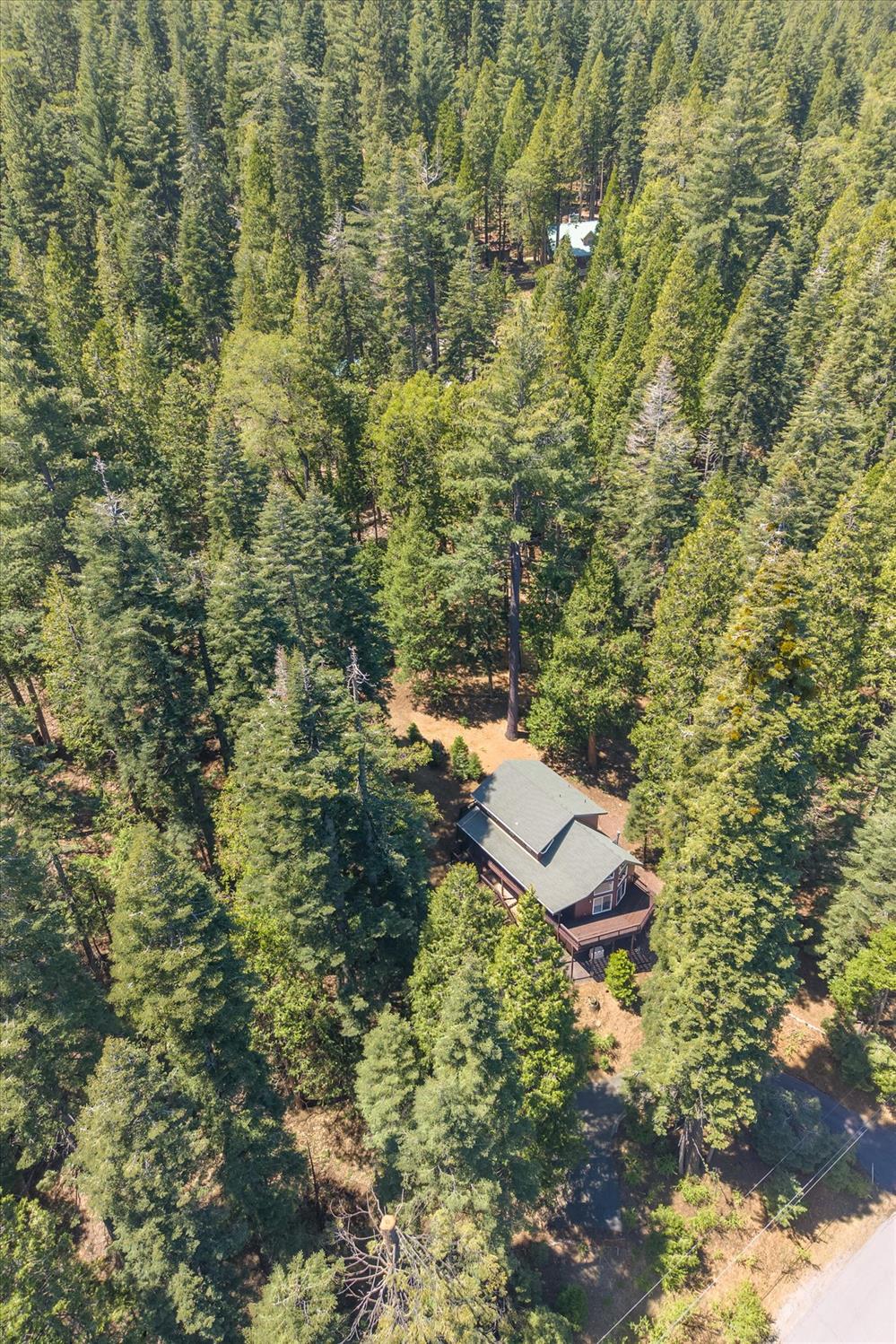 2203 Karock Road Dorrington, CA 95223 - Photo 45 of 54