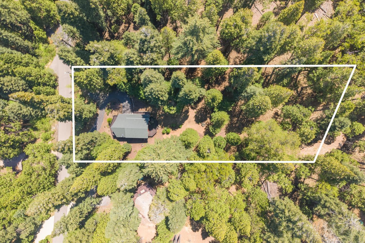 2203 Karock Road Dorrington, CA 95223 - Photo 46 of 54