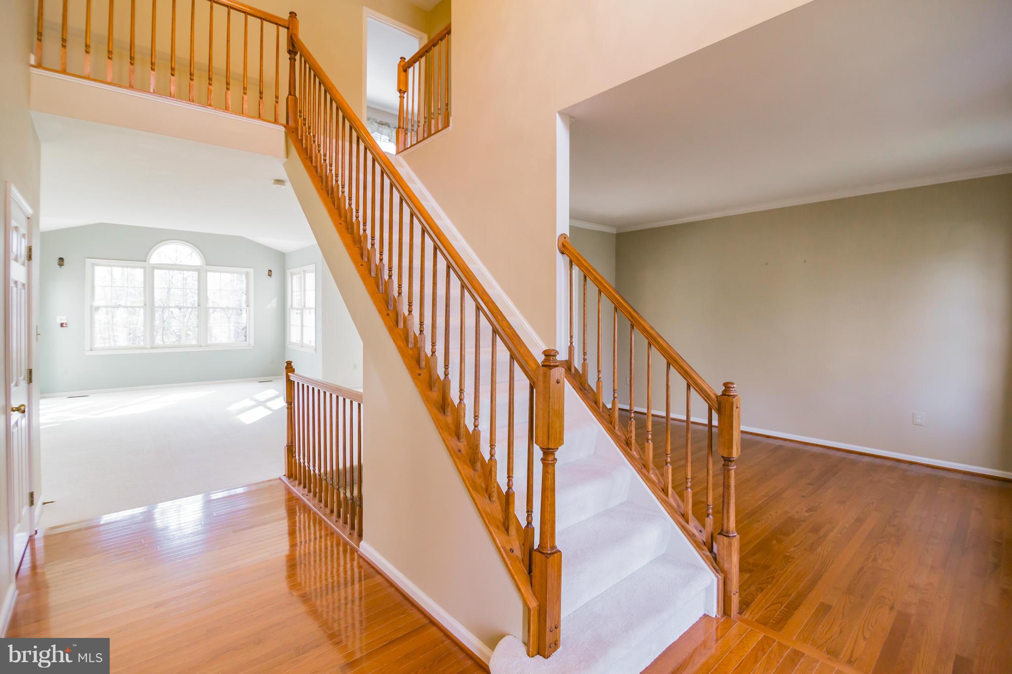 1766 Rochester Street Crofton, MD 21114 - Photo 4 of 30 Hardwood Foyer
